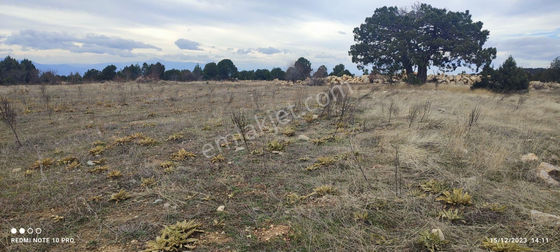Denizli/bozkurt/hayrettin Mahallesi Yol Kenarı 15.000.m2 Araç Veya Denizli'den Daire Takası Olur. - Görsel 15