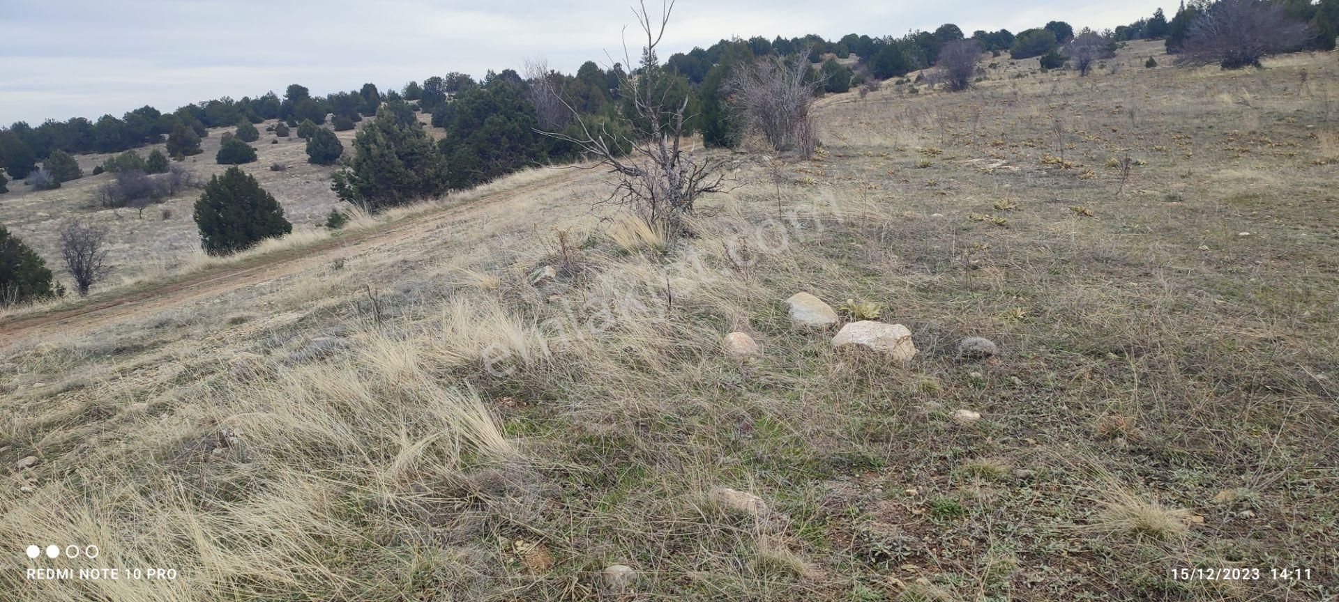 Denizli/bozkurt/hayrettin Mahallesi Yol Kenarı 15.000.m2 Araç Veya Denizli'den Daire Takası Olur. - Görsel 14