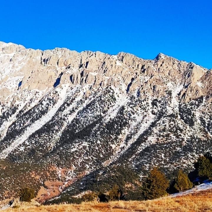 Kar Emlaktan Kamışlı Yaylasında 600 M2 Satılık Arsa - Görsel 25