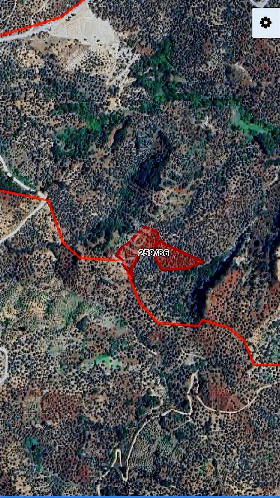 Aydın Köşk Başçayır Mahallesinde Satılık 10.498 M2 Zeytinlik - Görsel 35