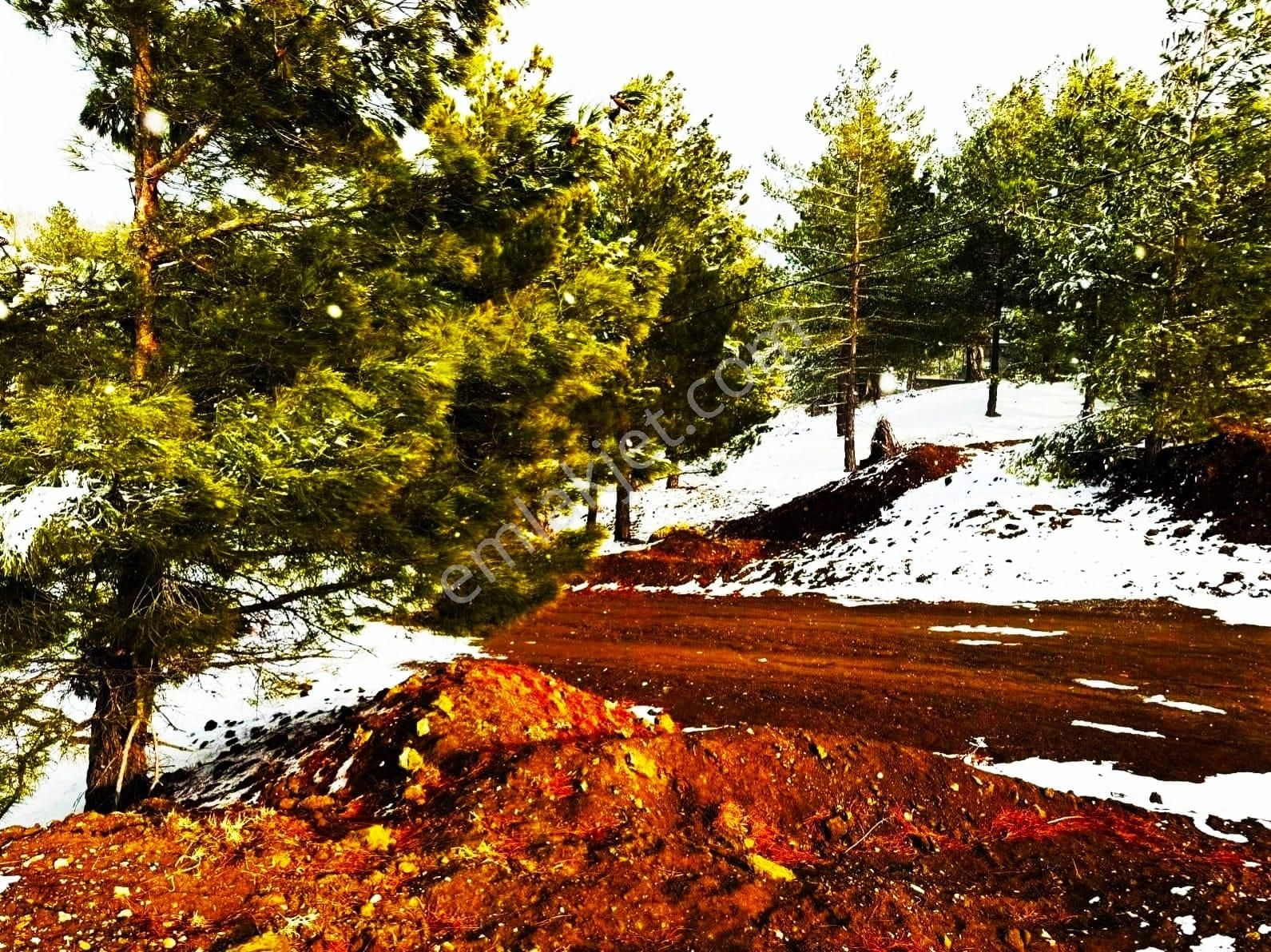 Kar Emlaktan Alpu Yaylasında 485 M2 Satılık Arsa - Görsel 14