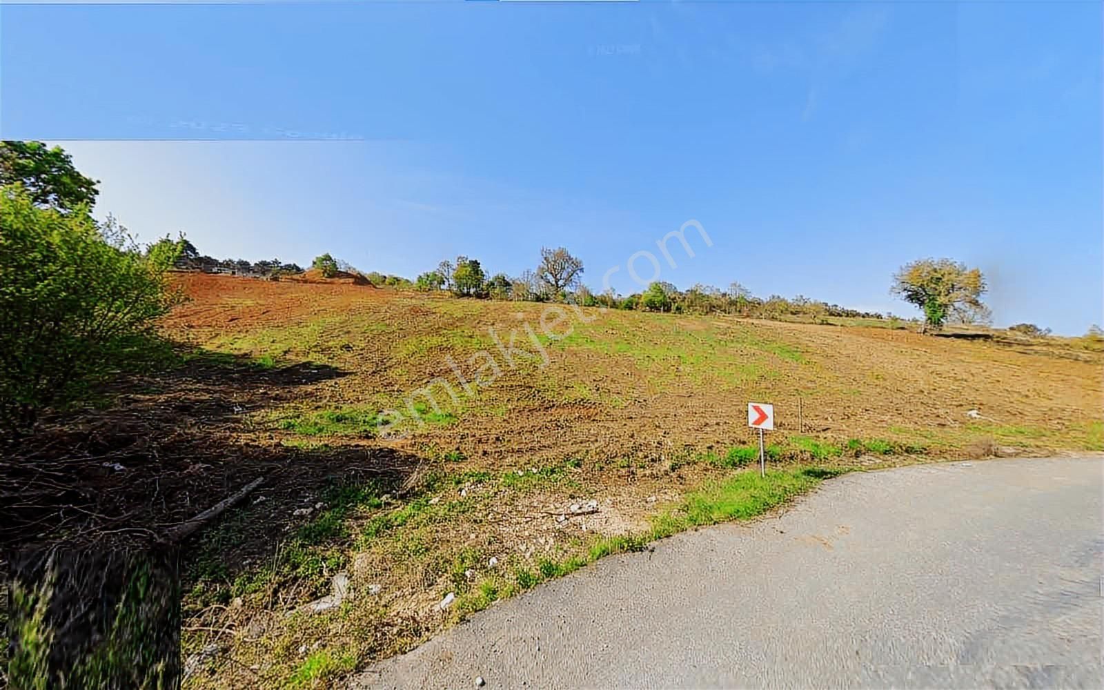 Şile Şuayipli Terkleri Yapılmış Konut İmarlı Arsa - Görsel 4