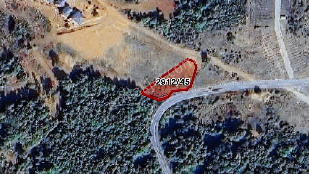 Şile Şuayipli Terkleri Yapılmış Konut İmarlı Arsa - Görsel 8