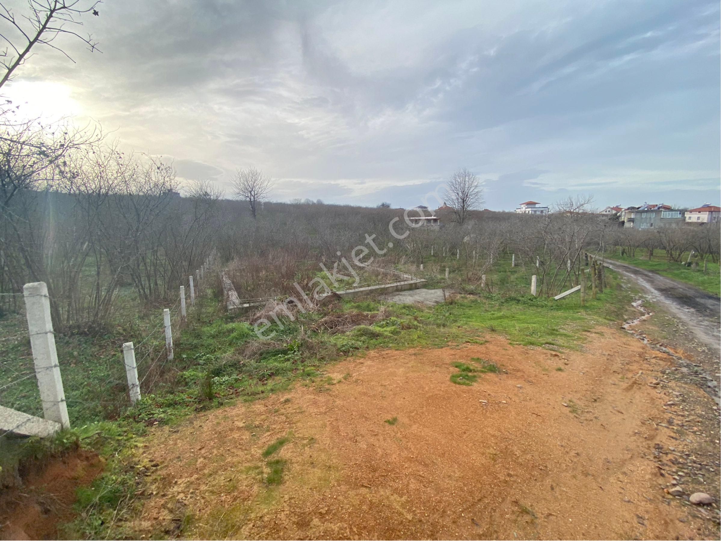 1.000.000tl Peşinat Kalan Miktar 12 Ay Elden Taksitle Ödeme İmkanı Kuyumculu Mah 380 M2 Satılık Arsa - Görsel 15