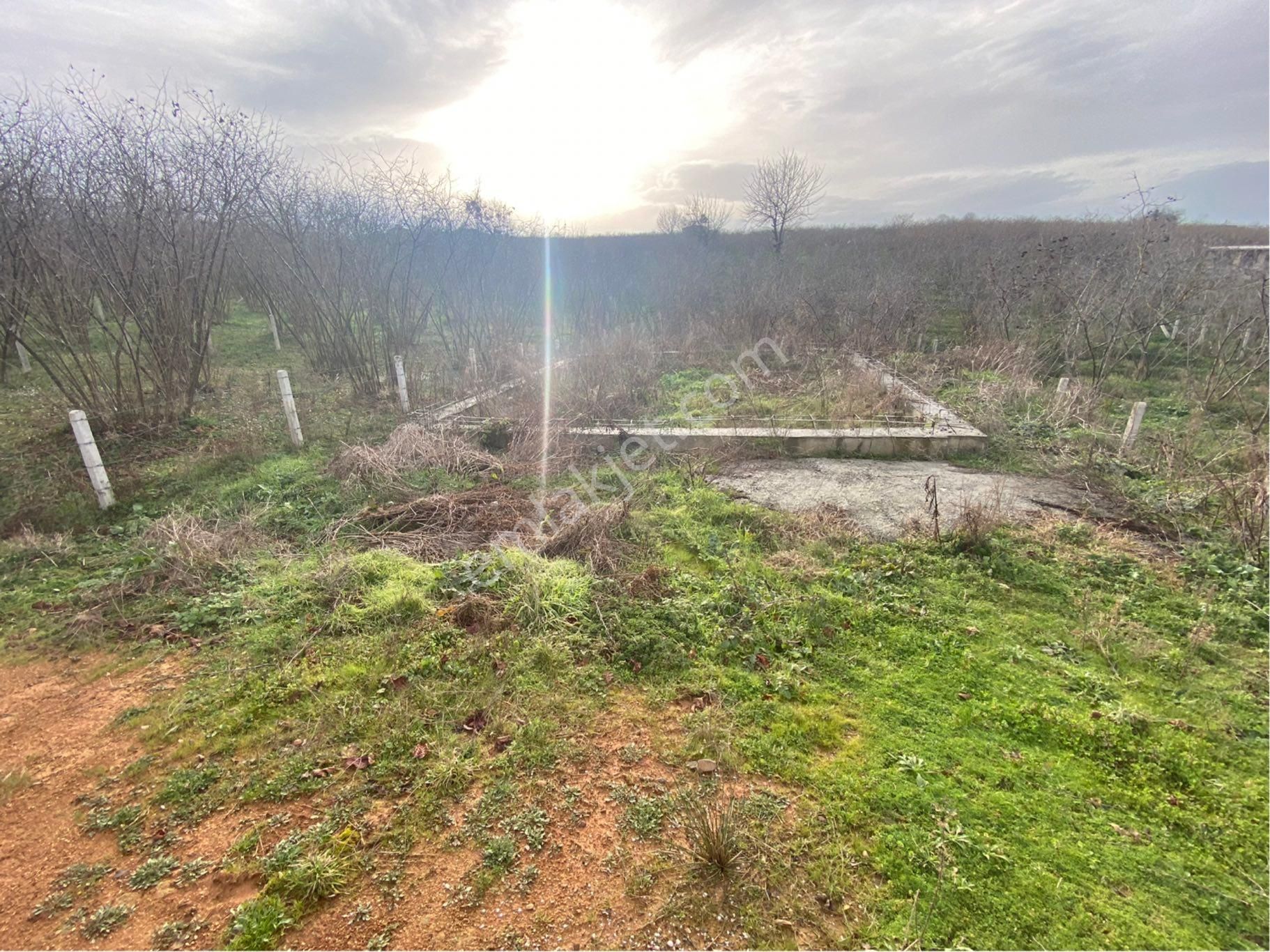 1.000.000tl Peşinat Kalan Miktar 12 Ay Elden Taksitle Ödeme İmkanı Kuyumculu Mah 380 M2 Satılık Arsa - Görsel 13