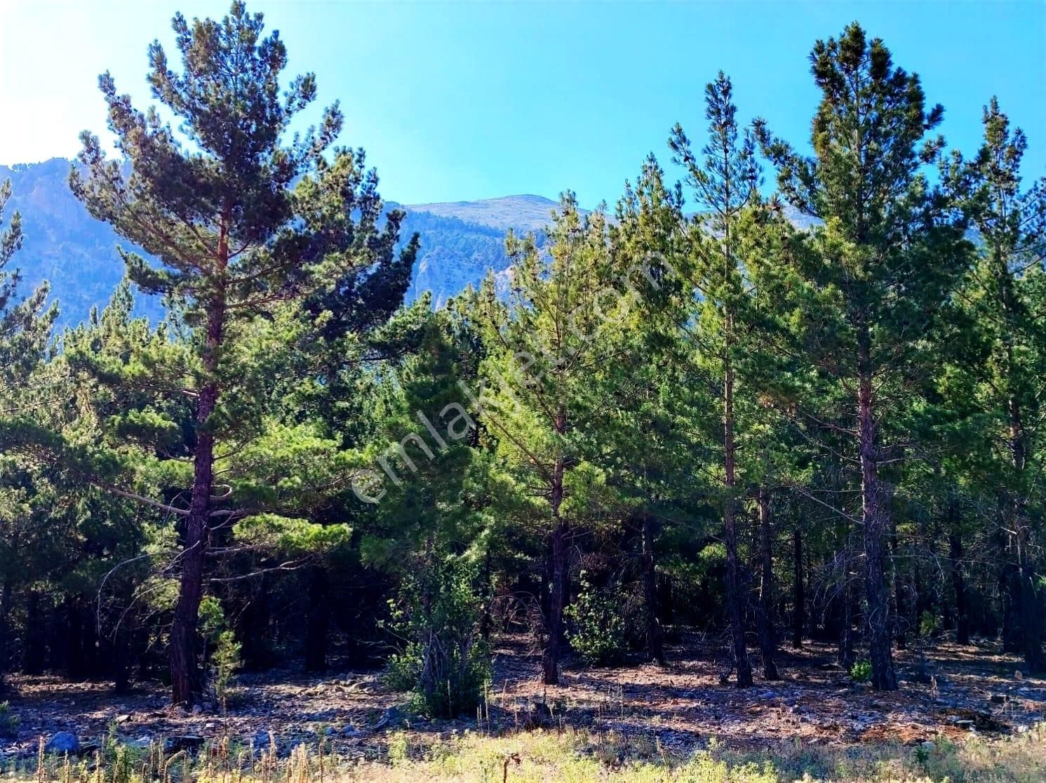 Kar Emlaktan Yenikonacık Efes Sitesi Üzerinde 400 M2 Satılık Arsa - Görsel 17