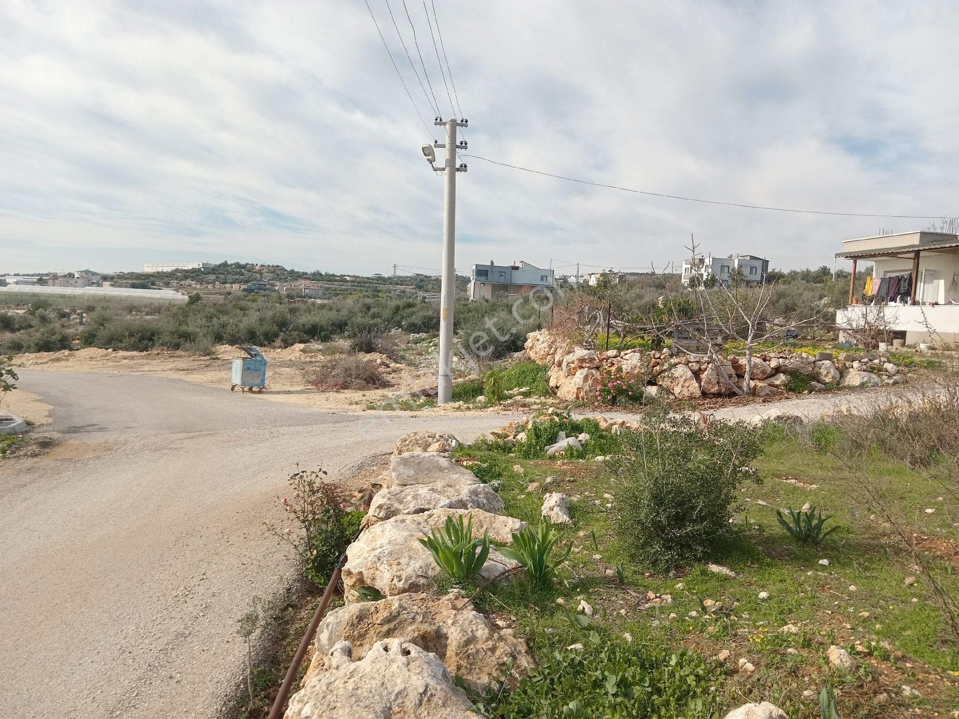 Mersin Erdemli Koyuncu'da Konut İmarlı ,deniz Manzaralı Satılık Arsa - Görsel 5