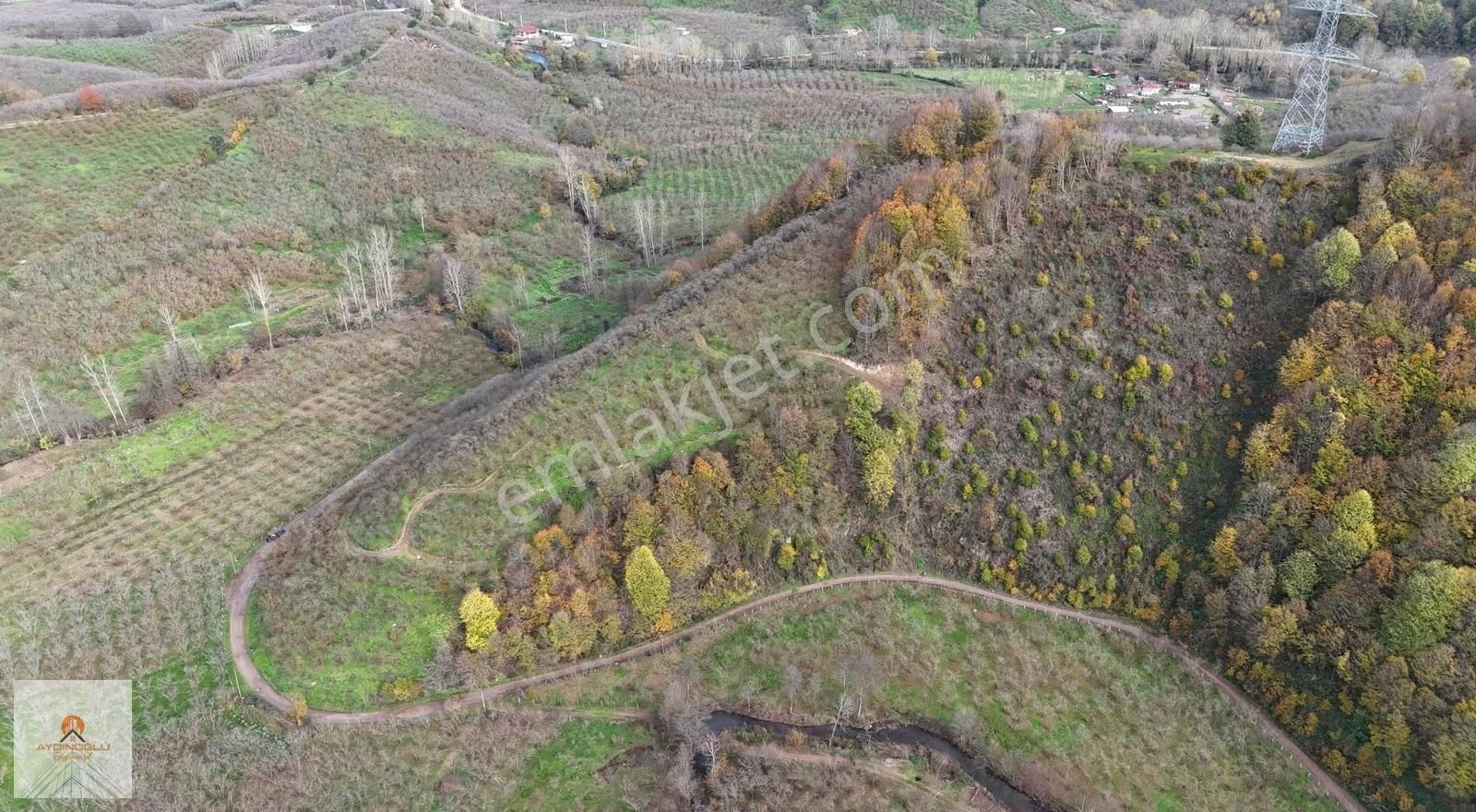 Takasa Açık Yatırım Değeri Yüksek 15 Dönüm Fındık Bahçesi - Görsel 10