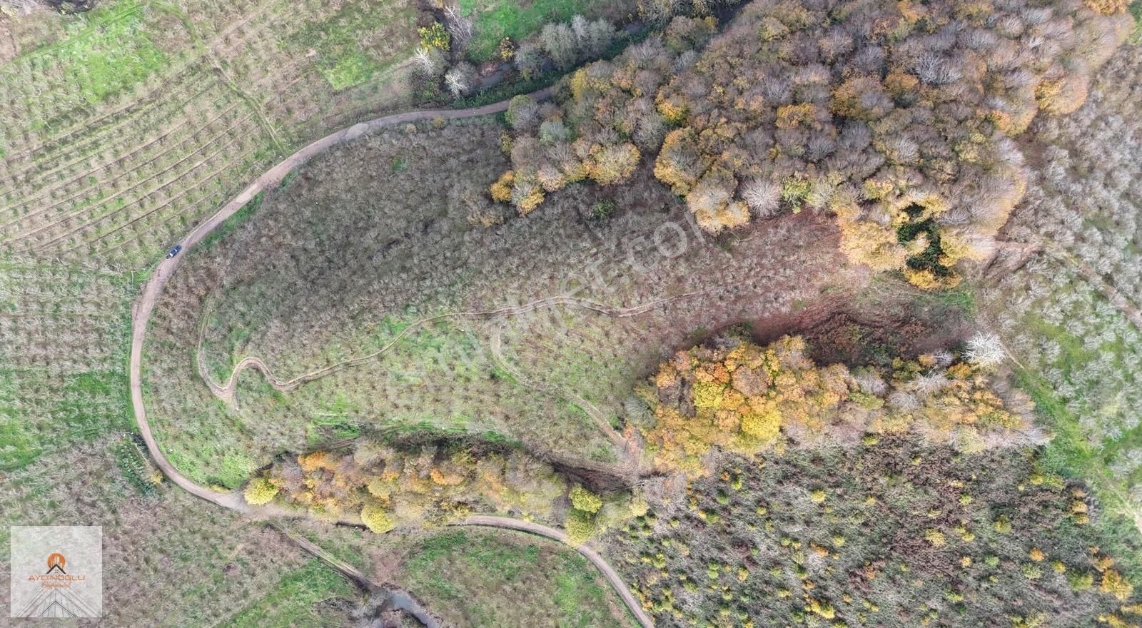 Takasa Açık Yatırım Değeri Yüksek 15 Dönüm Fındık Bahçesi - Görsel 6