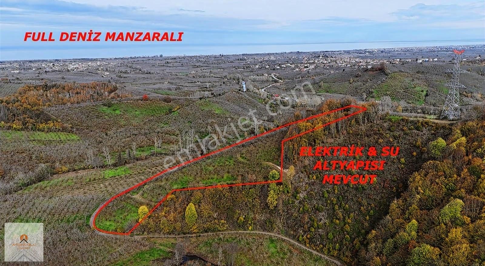 Takasa Açık Yatırım Değeri Yüksek 15 Dönüm Fındık Bahçesi - Görsel 7