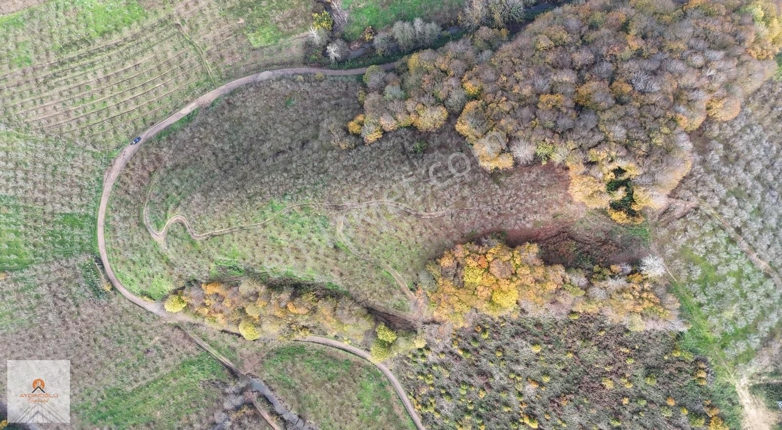 Takasa Açık Yatırım Değeri Yüksek 15 Dönüm Fındık Bahçesi - Görsel 13