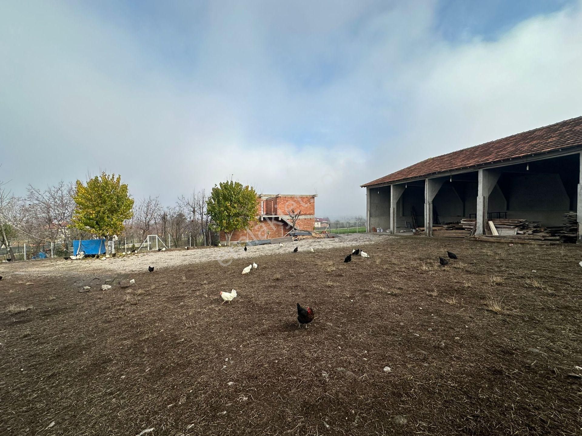 Vepaş'tan Arıca Mahallesi Merkezde Köyiçi İmarlı Satılık Arsalar - Görsel 12