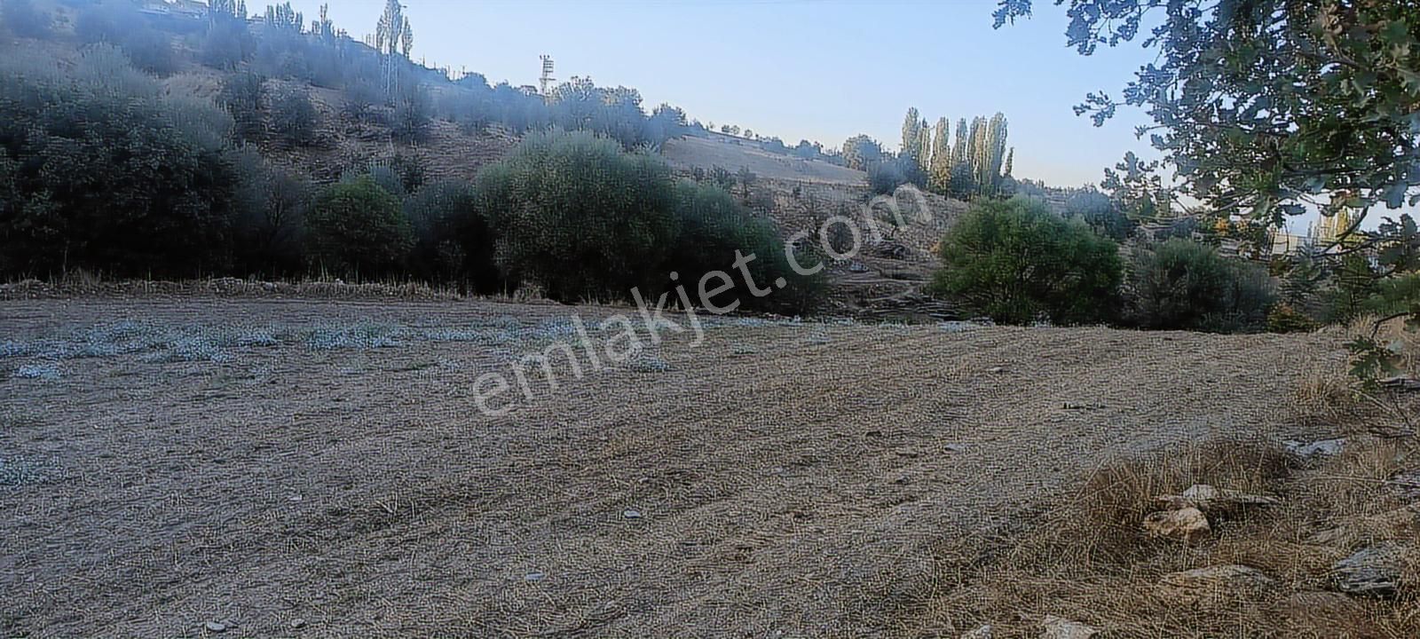 Uşak Eşme Oymalı Köyü'nde Satılık 55.700 M² Geniş Tarla - Görsel 6
