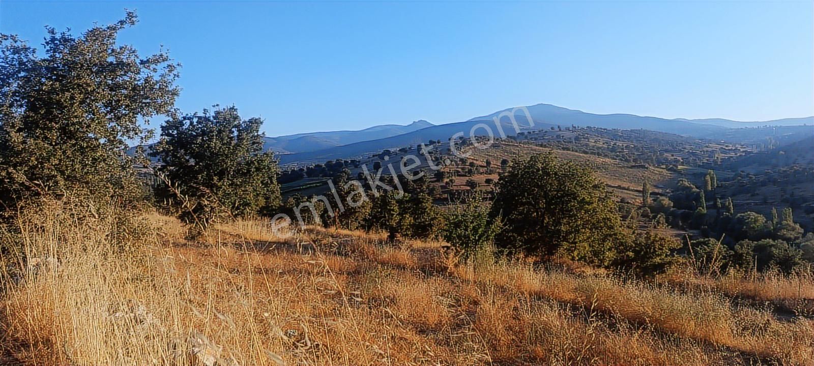 Uşak Eşme Oymalı Köyü'nde Satılık 55.700 M² Geniş Tarla - Görsel 13