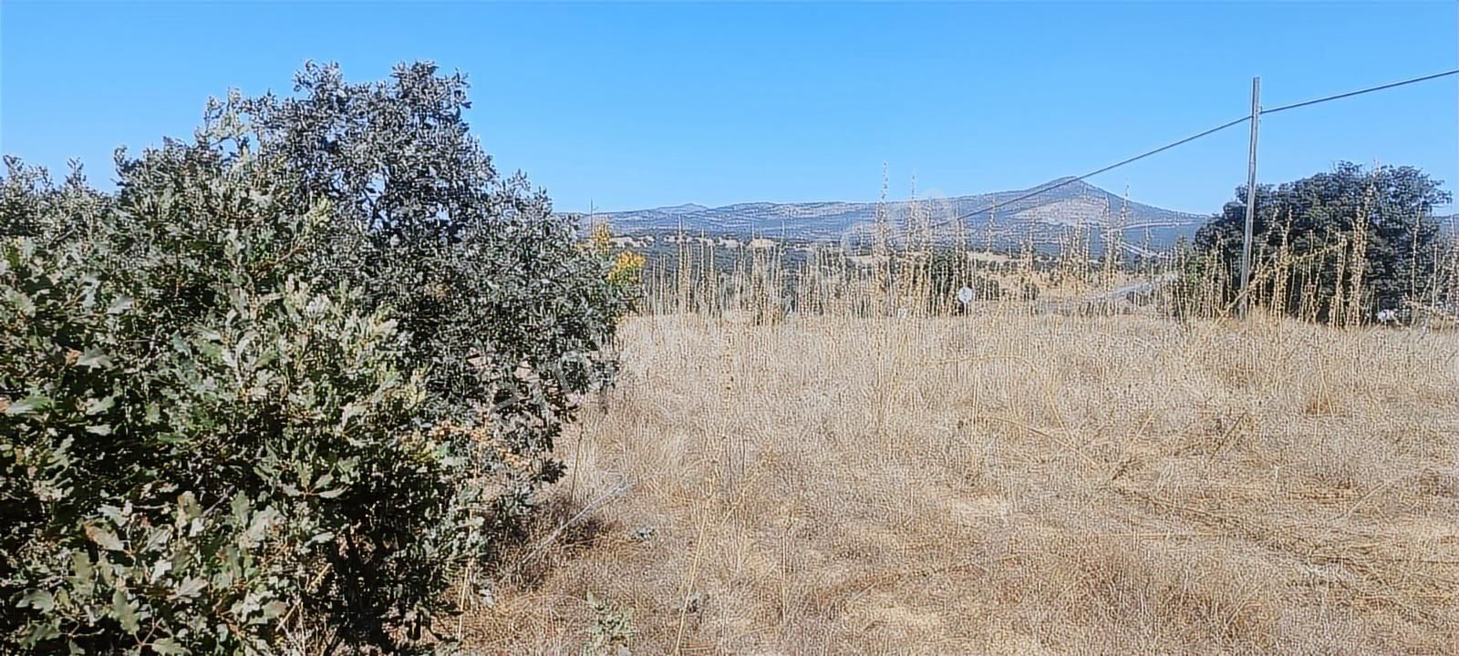 Uşak Eşme Oymalı Köyü'nde Satılık 55.700 M² Geniş Tarla - Görsel 7