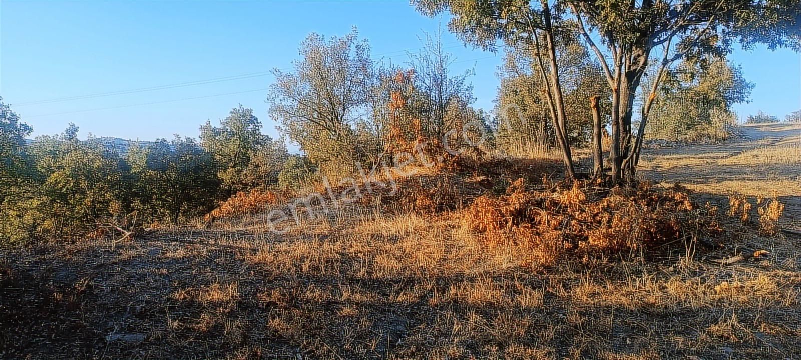 Uşak Eşme Oymalı Köyü'nde Satılık 55.700 M² Geniş Tarla - Görsel 17