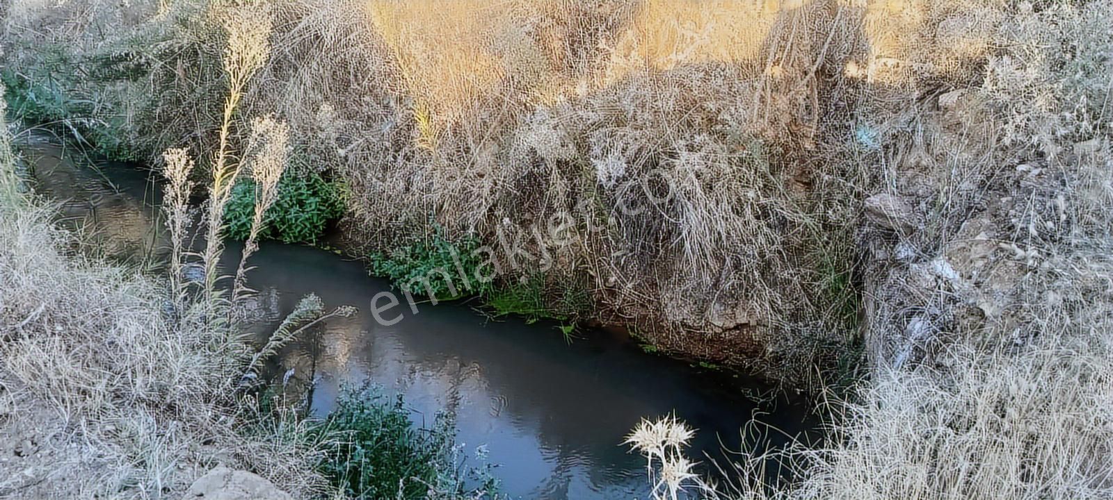 Uşak Eşme Oymalı Köyü'nde Satılık 55.700 M² Geniş Tarla - Görsel 5