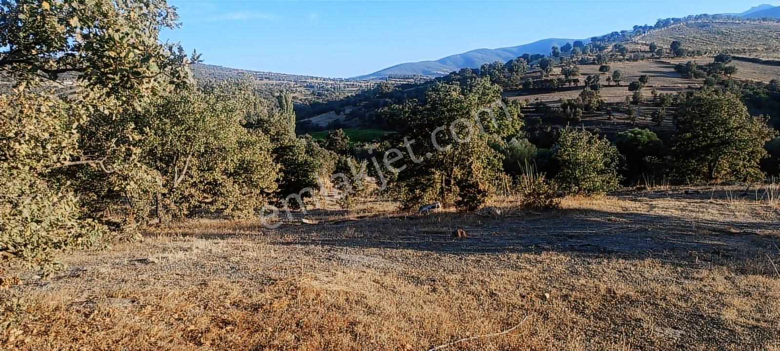 Uşak Eşme Oymalı Köyü'nde Satılık 55.700 M² Geniş Tarla - Görsel 15