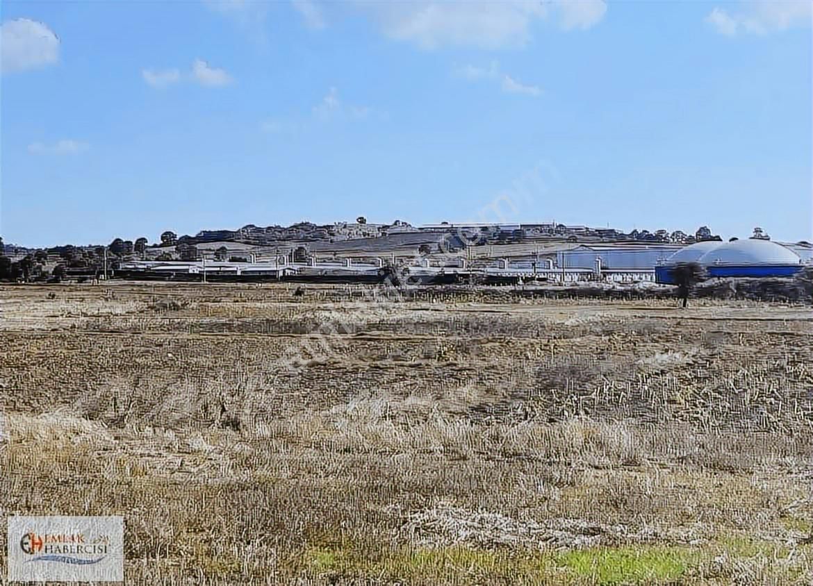 İşletmelere Sınır 18 Dönüm Kadast. Yola Cephe Fırsat Arazi - Görsel 6