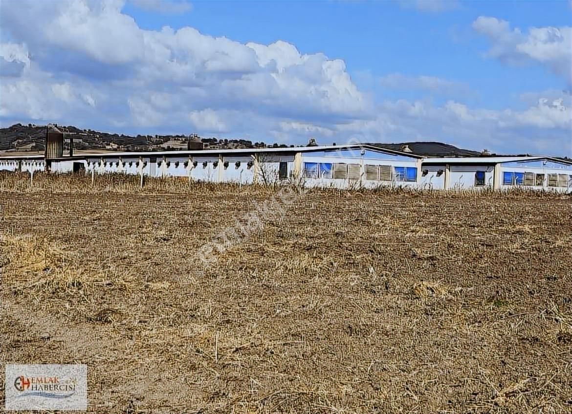 İşletmelere Sınır 18 Dönüm Kadast. Yola Cephe Fırsat Arazi - Görsel 9