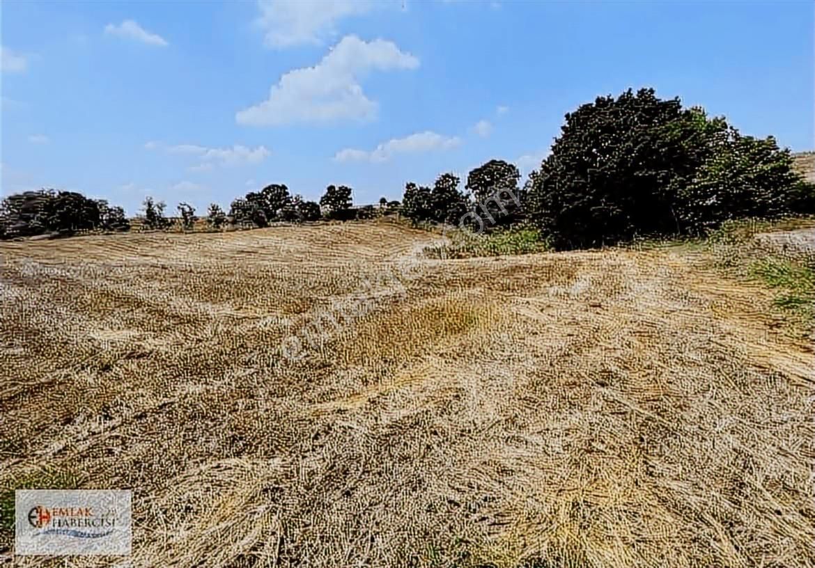 İşletmelere Sınır 18 Dönüm Kadast. Yola Cephe Fırsat Arazi - Görsel 13