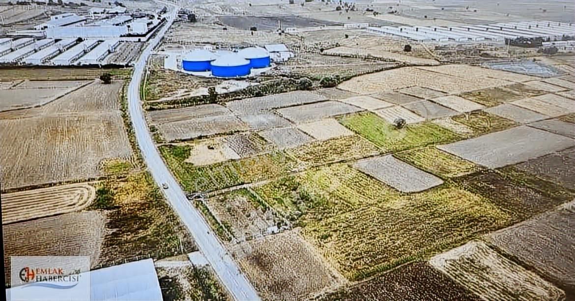 İşletmelere Sınır 18 Dönüm Kadast. Yola Cephe Fırsat Arazi - Görsel 12