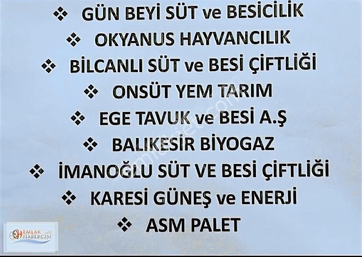 İşletmelere Sınır 18 Dönüm Kadast. Yola Cephe Fırsat Arazi - Görsel 2