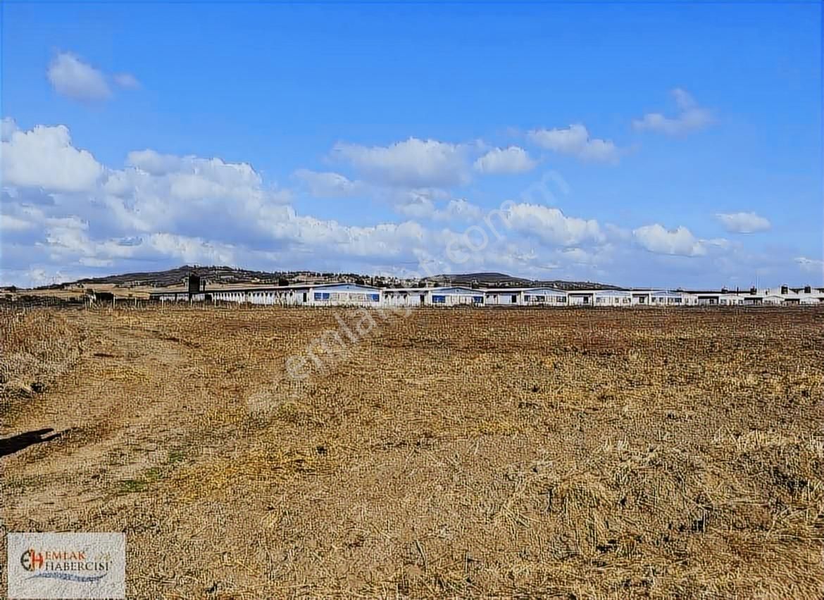 İşletmelere Sınır 18 Dönüm Kadast. Yola Cephe Fırsat Arazi - Görsel 5