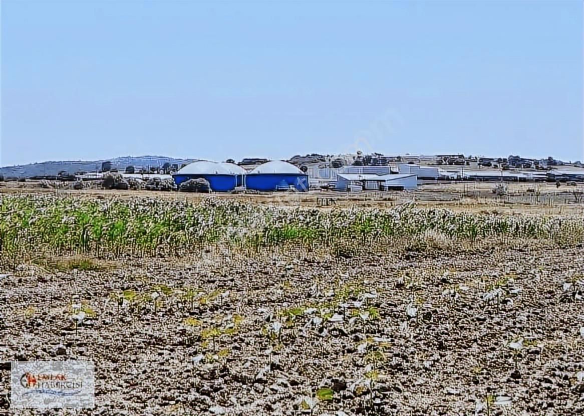 İşletmelere Sınır 18 Dönüm Kadast. Yola Cephe Fırsat Arazi - Görsel 8