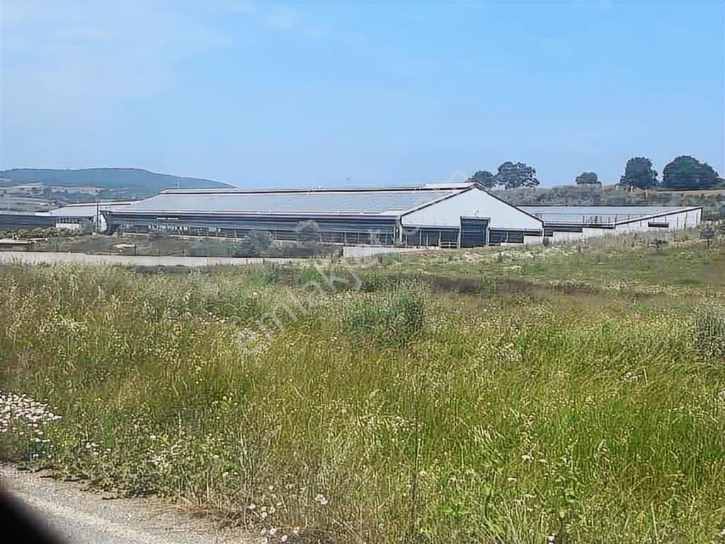 19 Dnm. Çiftlik İşletmelerinin Sınırında Yatırımlık Fırsat Arazi - Görsel 10