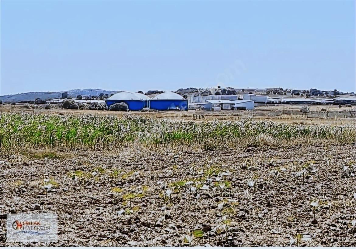 19 Dnm. Çiftlik İşletmelerinin Sınırında Yatırımlık Fırsat Arazi - Görsel 11