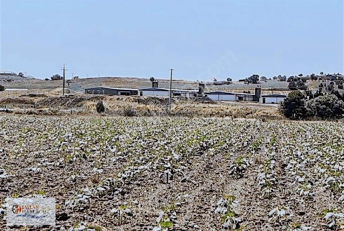 19 Dnm. Çiftlik İşletmelerinin Sınırında Yatırımlık Fırsat Arazi - Görsel 15