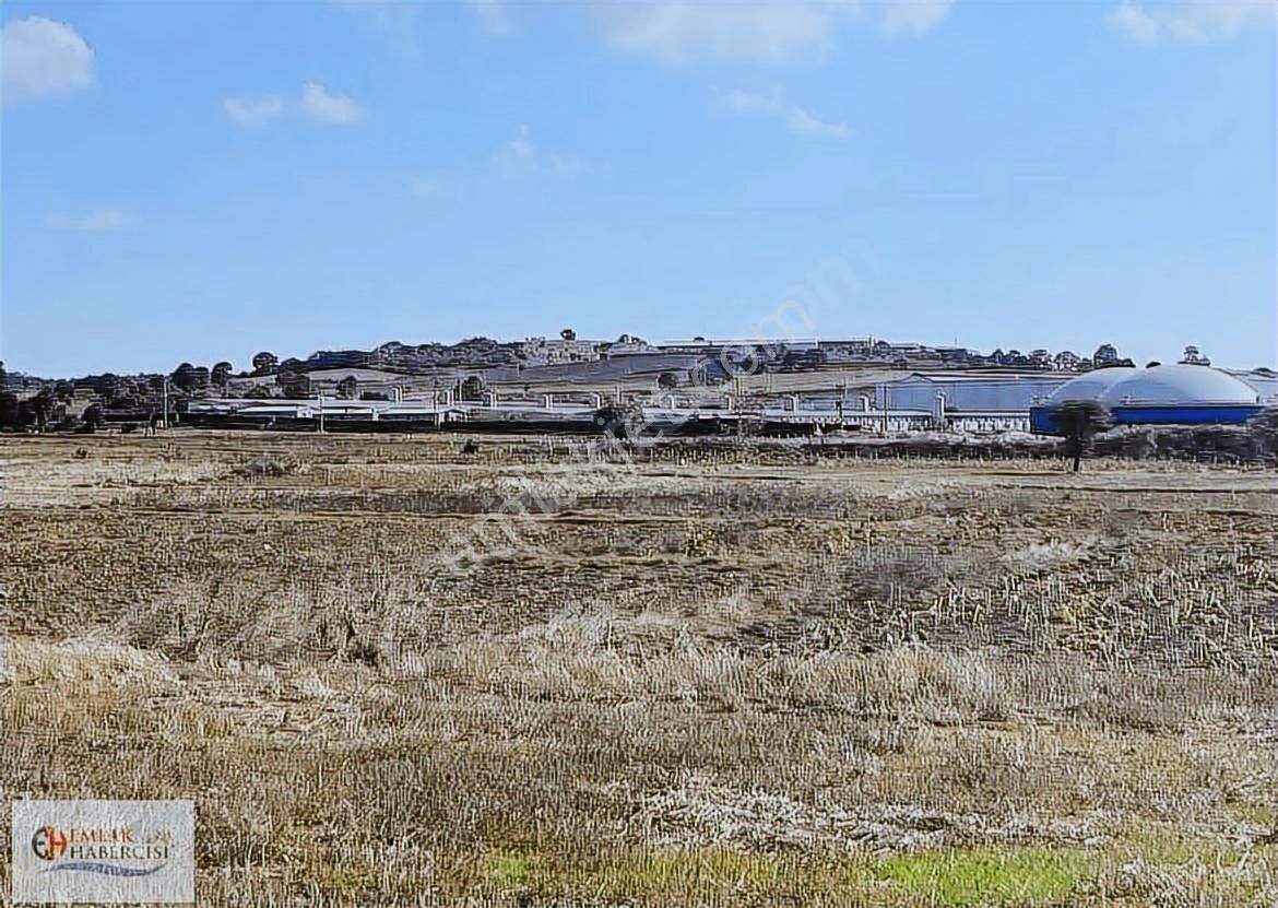 19 Dnm. Çiftlik İşletmelerinin Sınırında Yatırımlık Fırsat Arazi - Görsel 23