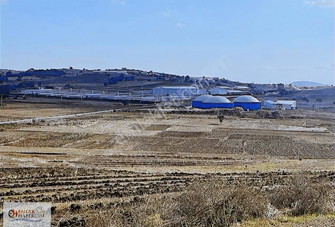 19 Dnm. Çiftlik İşletmelerinin Sınırında Yatırımlık Fırsat Arazi - Görsel 20