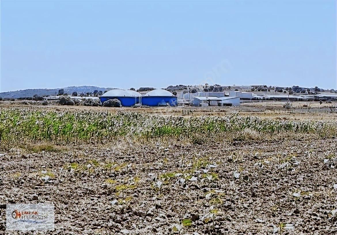 19 Dnm. Çiftlik İşletmelerinin Sınırında Yatırımlık Fırsat Arazi - Görsel 26