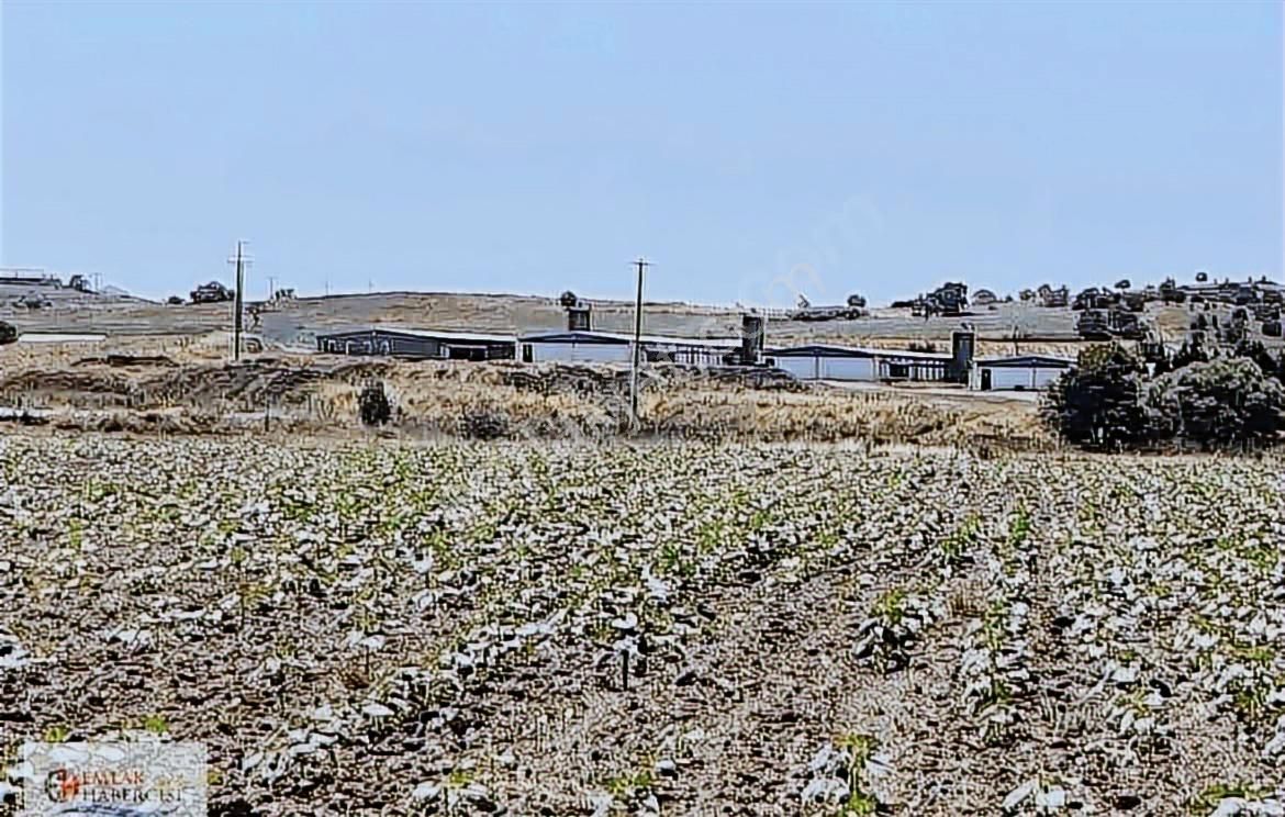 19 Dnm. Çiftlik İşletmelerinin Sınırında Yatırımlık Fırsat Arazi - Görsel 4
