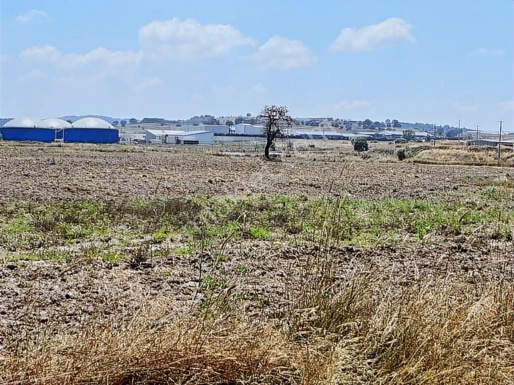 19 Dnm. Çiftlik İşletmelerinin Sınırında Yatırımlık Fırsat Arazi - Görsel 9