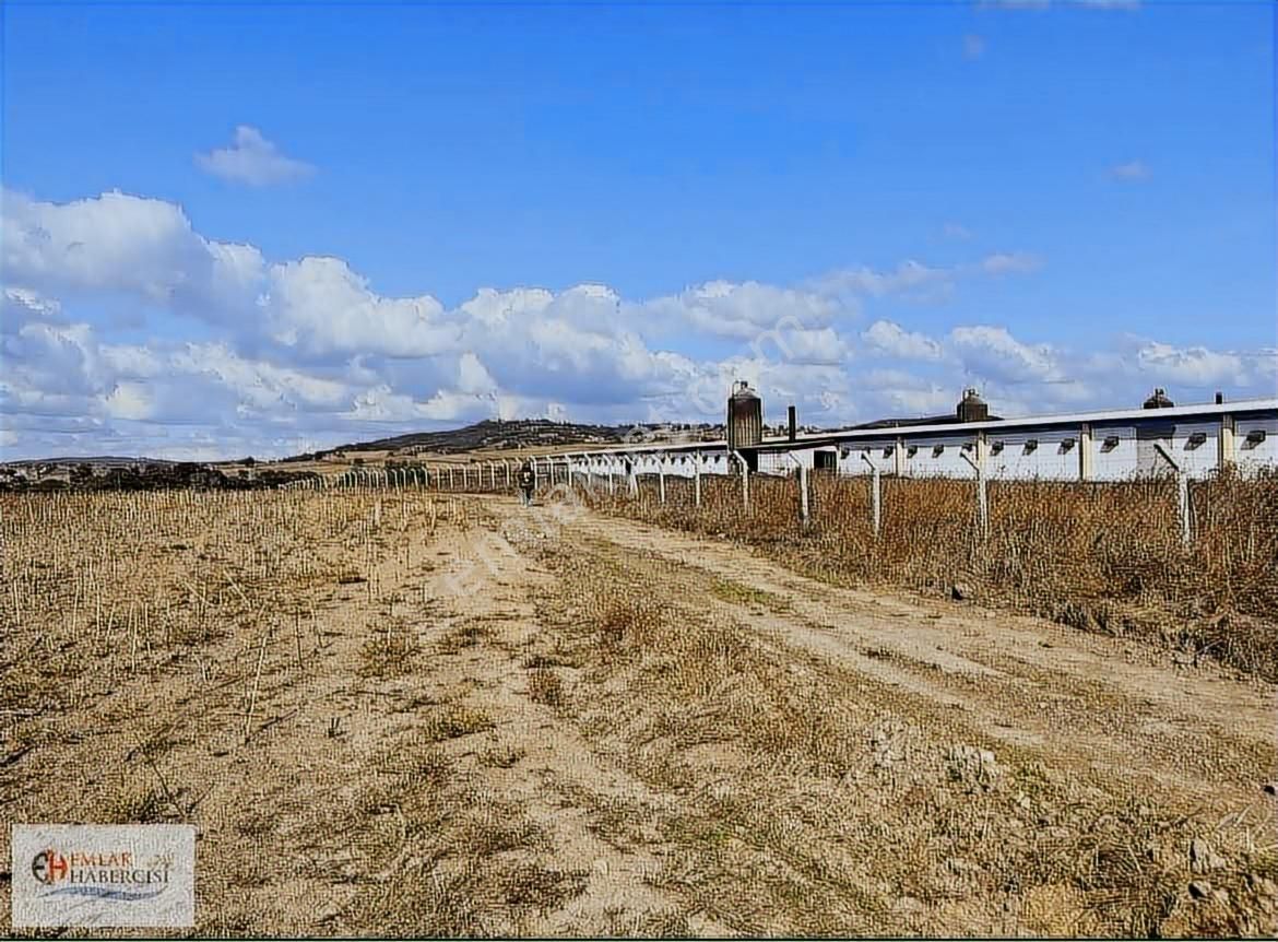 19 Dnm. Çiftlik İşletmelerinin Sınırında Yatırımlık Fırsat Arazi - Görsel 13