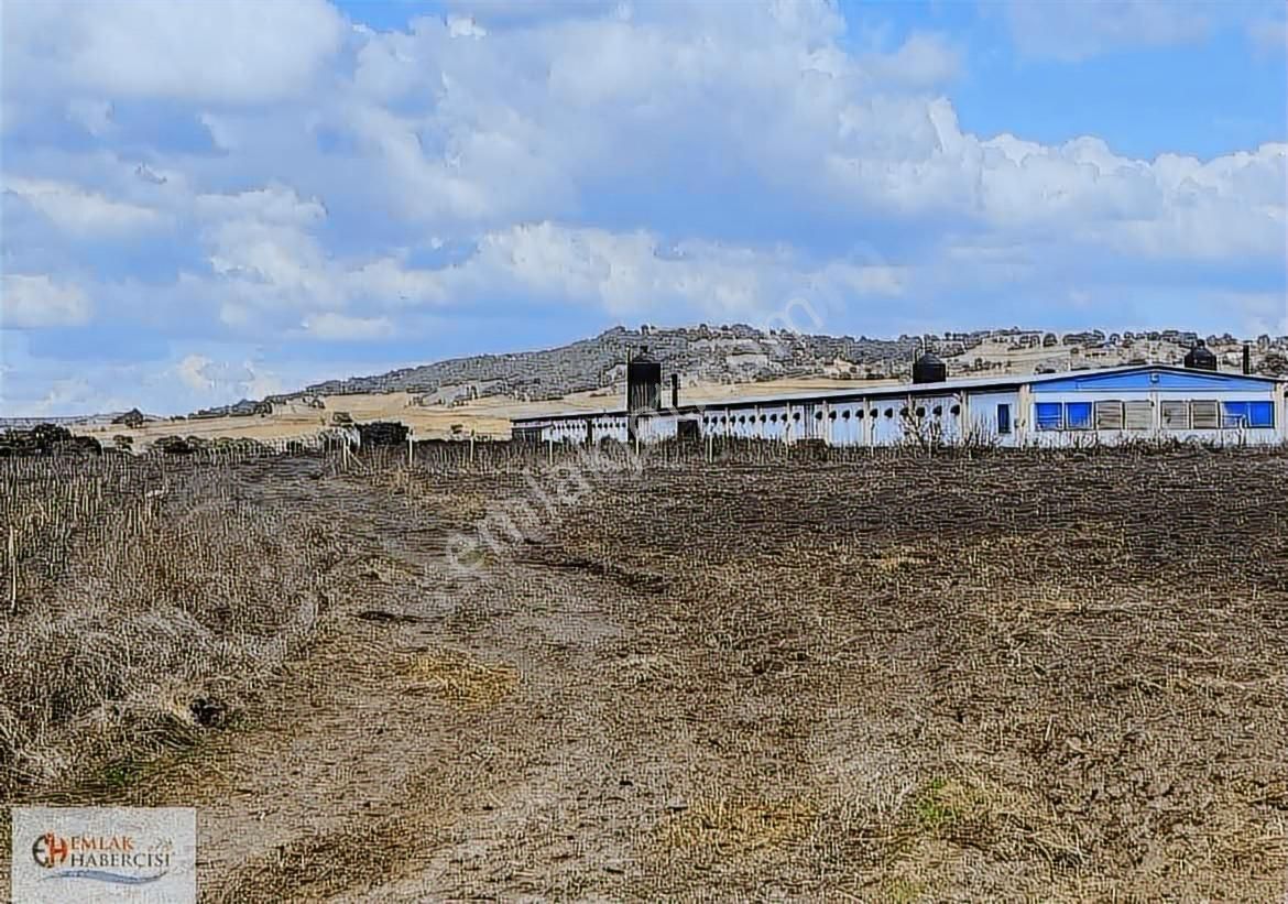19 Dnm. Çiftlik İşletmelerinin Sınırında Yatırımlık Fırsat Arazi - Görsel 19