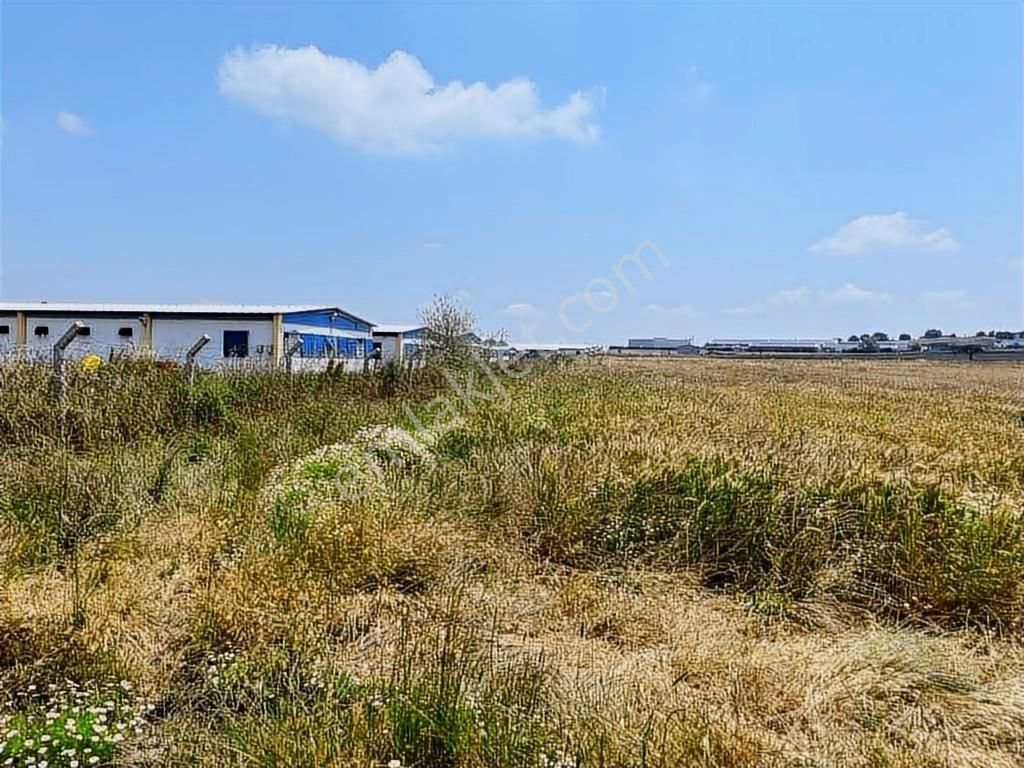 19 Dnm. Çiftlik İşletmelerinin Sınırında Yatırımlık Fırsat Arazi - Görsel 24