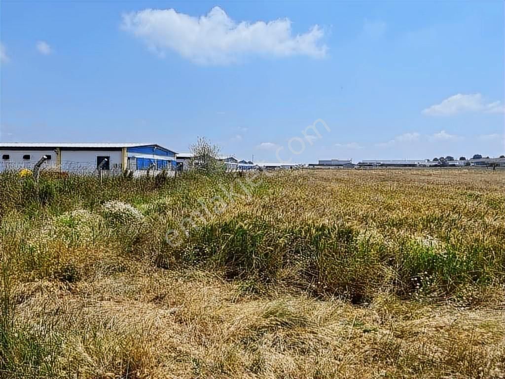 19 Dnm. Çiftlik İşletmelerinin Sınırında Yatırımlık Fırsat Arazi - Görsel 2