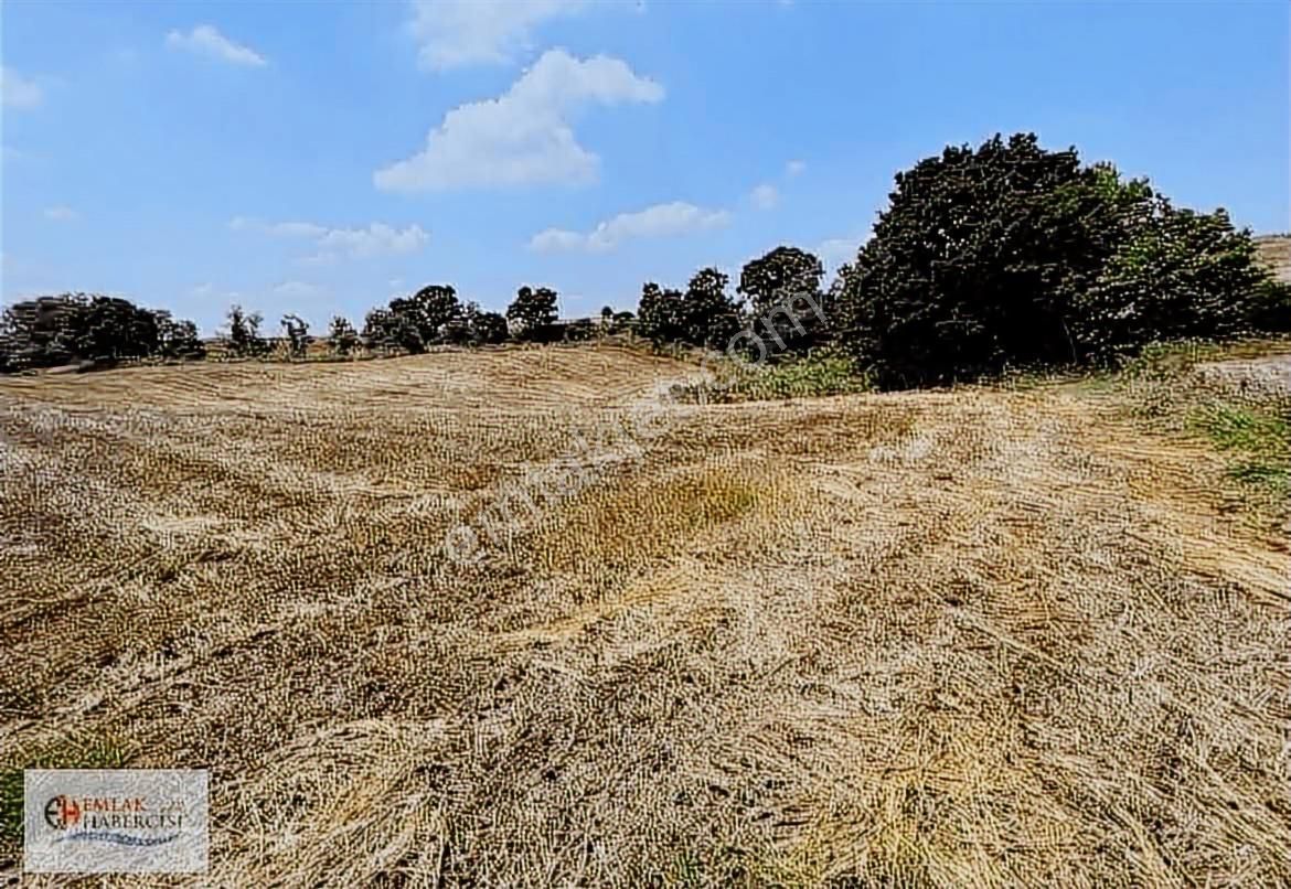 19 Dnm. Çiftlik İşletmelerinin Sınırında Yatırımlık Fırsat Arazi - Görsel 27