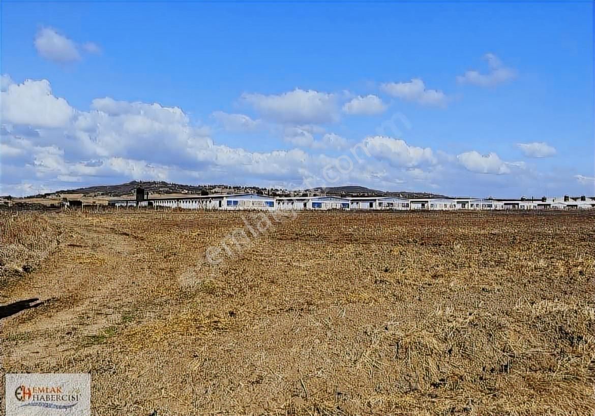 19 Dnm. Çiftlik İşletmelerinin Sınırında Yatırımlık Fırsat Arazi - Görsel 3