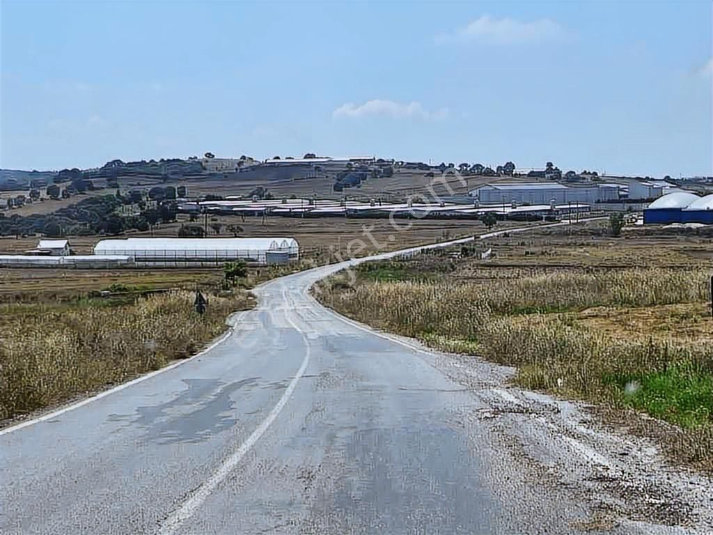 19 Dnm. Çiftlik İşletmelerinin Sınırında Yatırımlık Fırsat Arazi - Görsel 5
