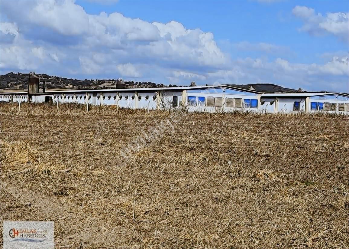 19 Dnm. Çiftlik İşletmelerinin Sınırında Yatırımlık Fırsat Arazi - Görsel 12