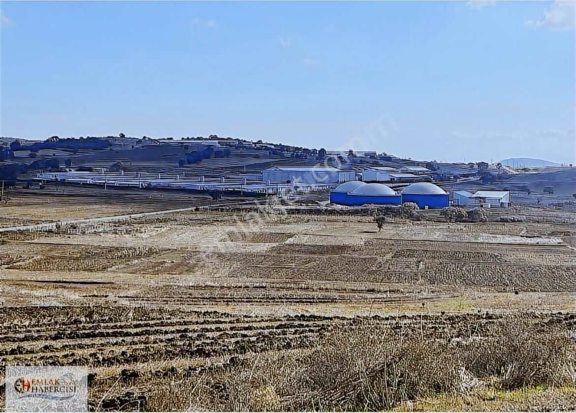 19 Dnm. Çiftlik İşletmelerinin Sınırında Yatırımlık Fırsat Arazi - Görsel 21