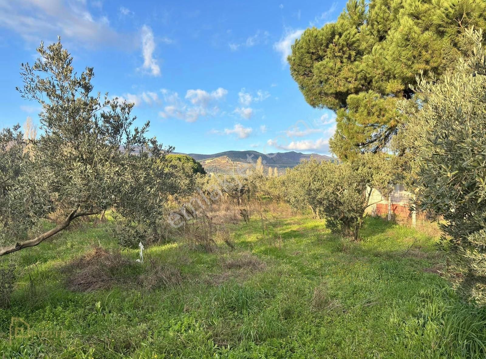 Pozitif'ten Denize 150 Metre Mesafede Satılık İmarlı Arsa - Görsel 6