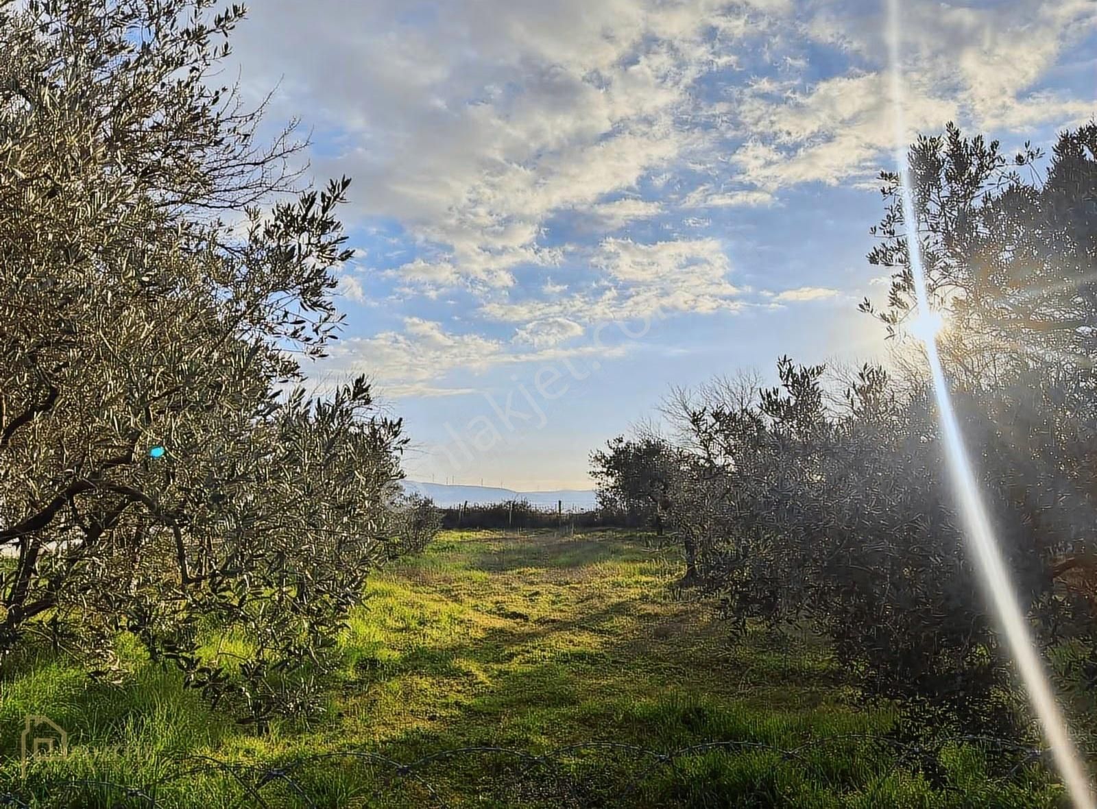 Pozitif'ten Denize 150 Metre Mesafede Satılık İmarlı Arsa - Görsel 4