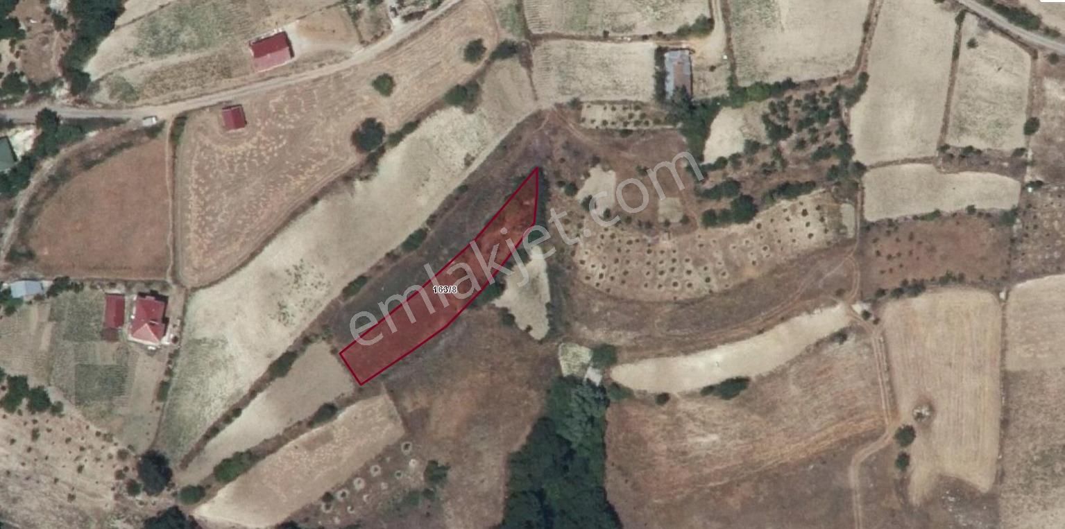 Aress'ten Güneyköy Mevkide Satılık Tarla