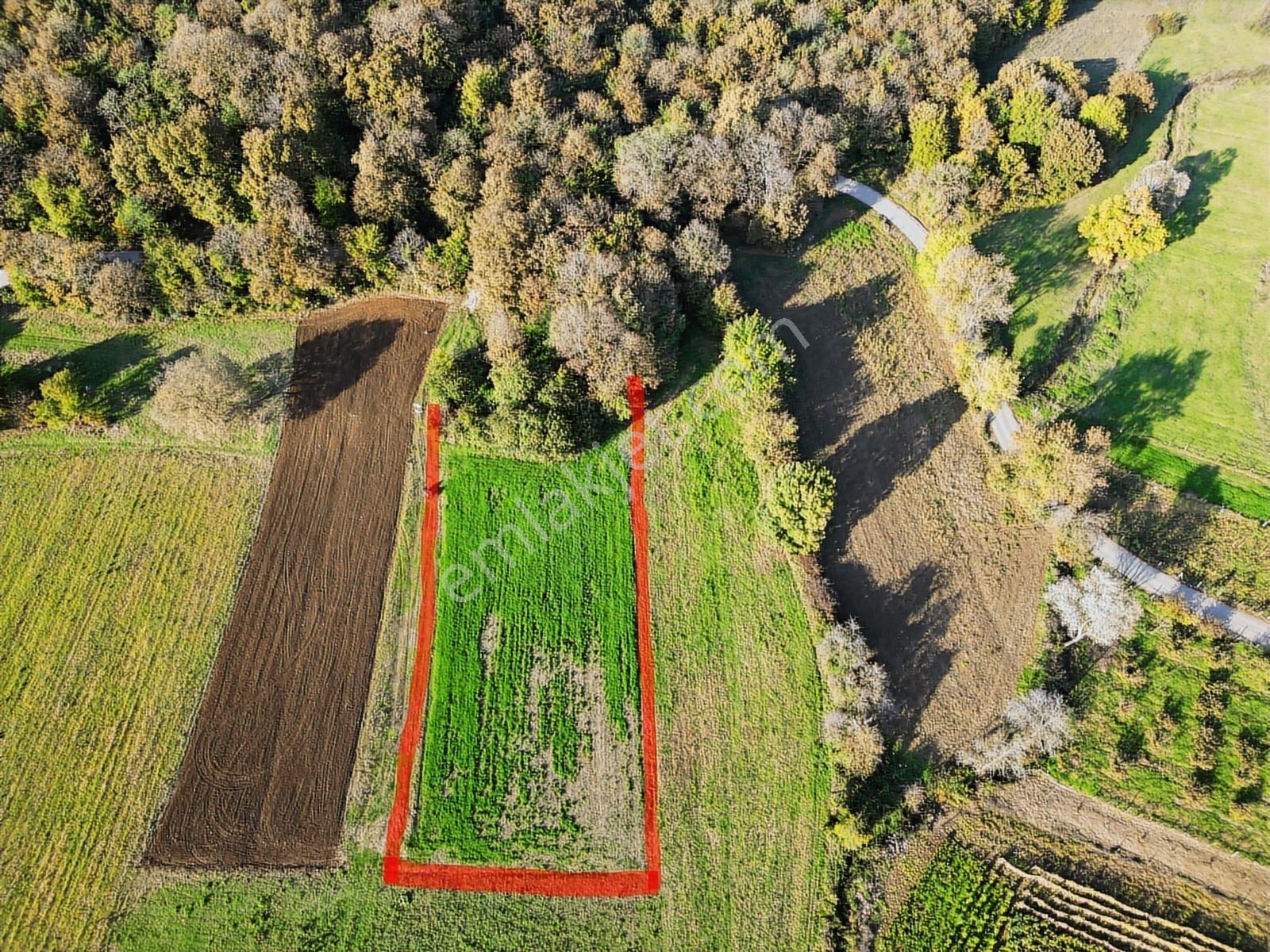 Kocaeli Kandıra Bufa Çifliği Komşu 916m2 Kefken 7dk Satılık Arsa - Görsel 2